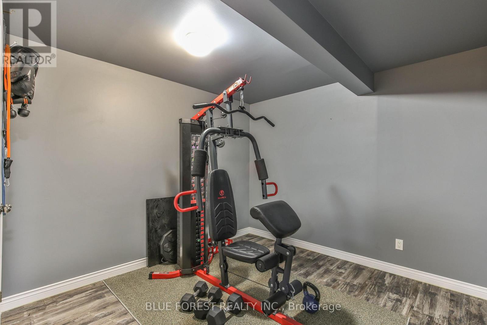 50000 Dingle Street, Malahide, Ontario  N5H 2R1 - Photo 29 - X12692244