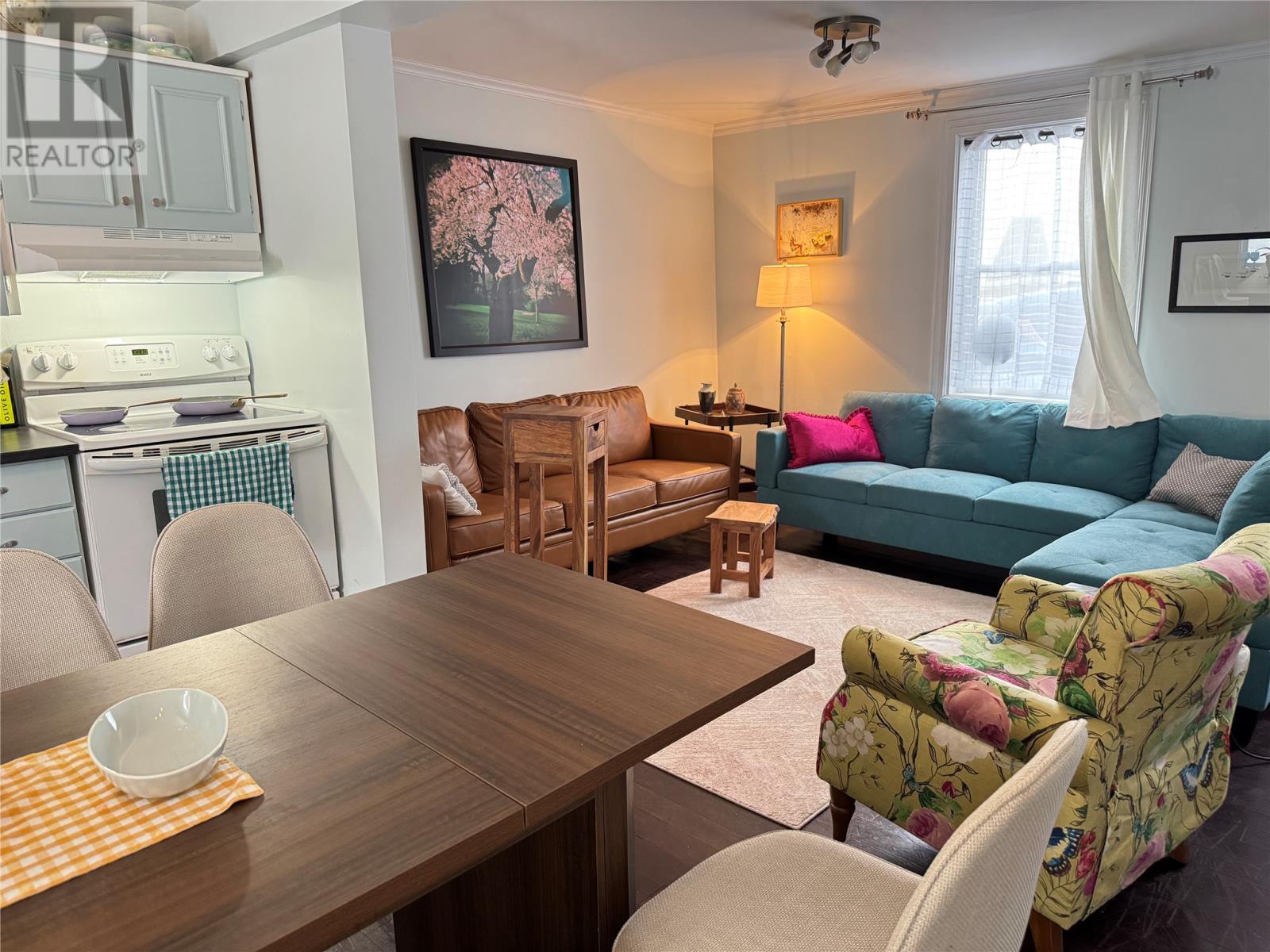 3 Barnes Place, St. John's, Newfoundland & Labrador  A1C 5G9 - Photo 10 - 1293720