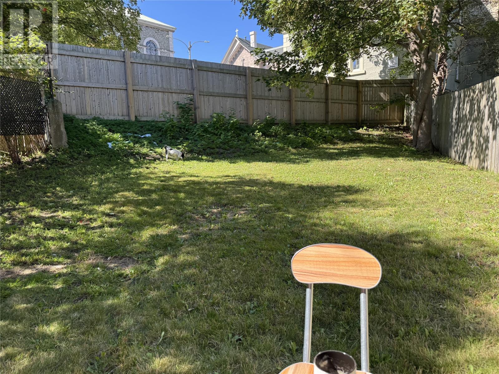 3 Barnes Place, St. John's, Newfoundland & Labrador  A1C 5G9 - Photo 23 - 1293720