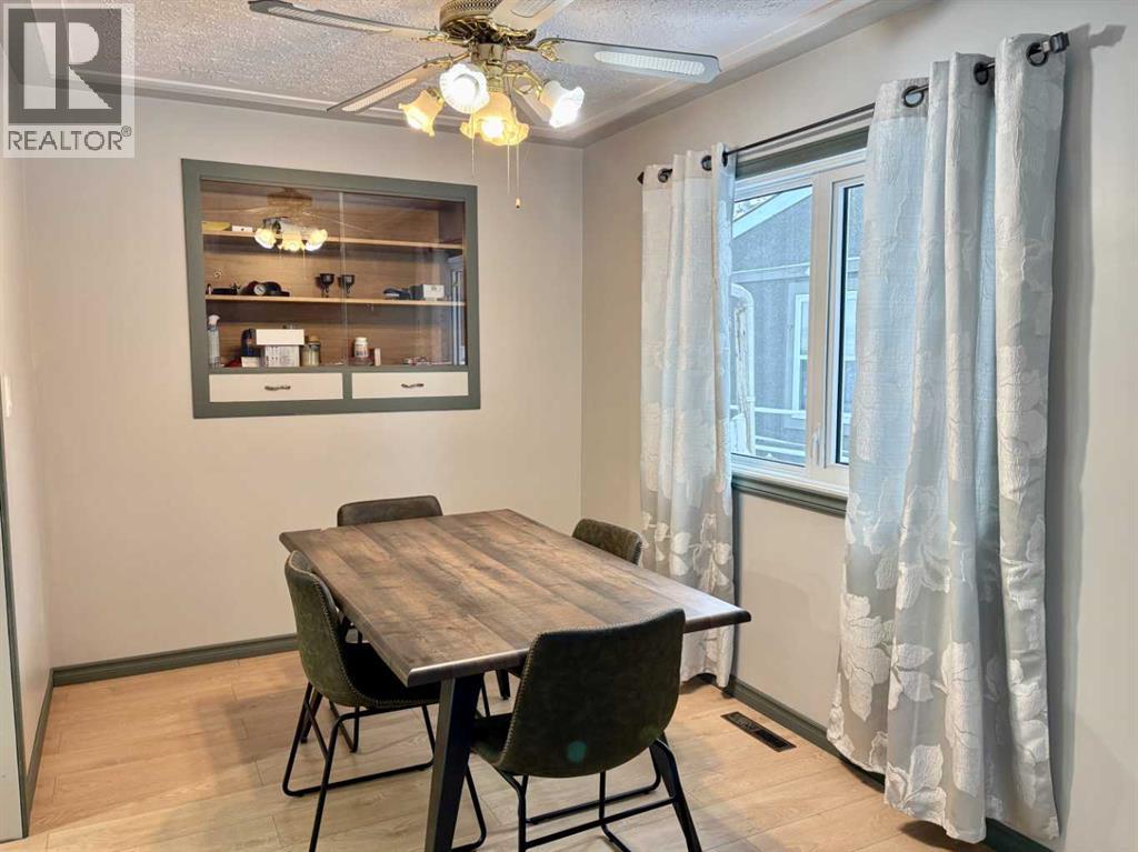 5019 51 Street, Mannville, Alberta  T0B 2W0 - Photo 5 - A2275244