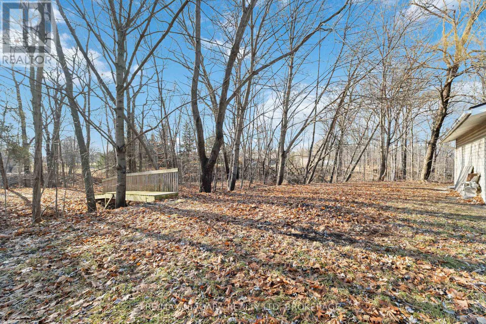 1671 Third Street Louth Street, St. Catharines, Ontario  L2R 6P9 - Photo 31 - X12690706