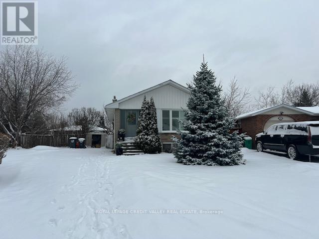 50 Epsom Downs Drive, Brampton, Ontario  L6T 1Y8 - Photo 2 - W12689262