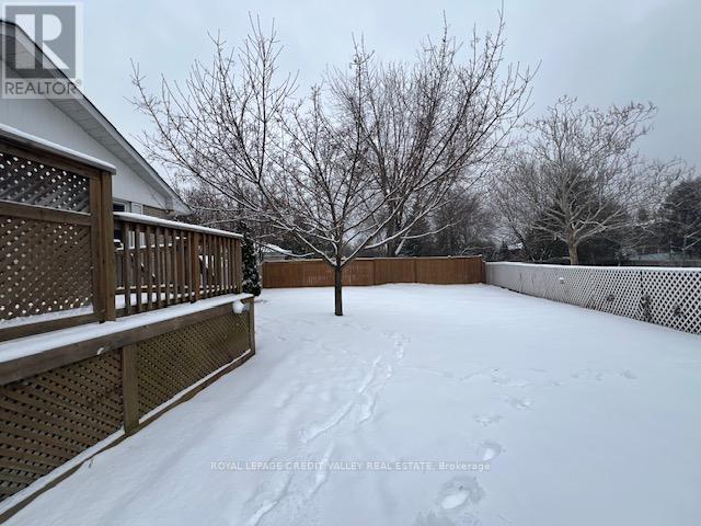 50 Epsom Downs Drive, Brampton, Ontario  L6T 1Y8 - Photo 11 - W12689262