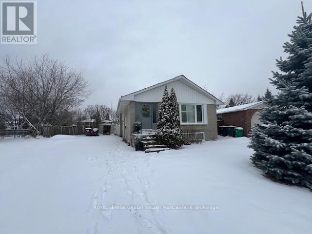 50 Epsom Downs Drive, Brampton, Ontario  L6T 1Y8 - Photo 3 - W12689262