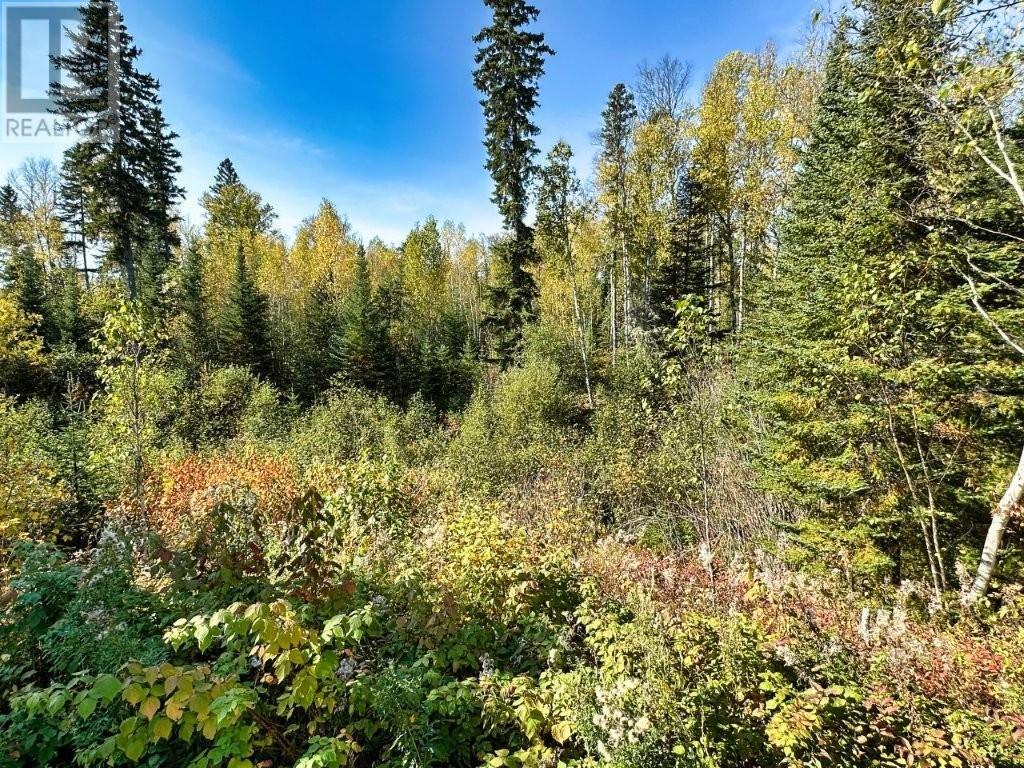 8 Red Rock Road 7, Red Rock, Ontario  P0T 2P0 - Photo 49 - TB253119