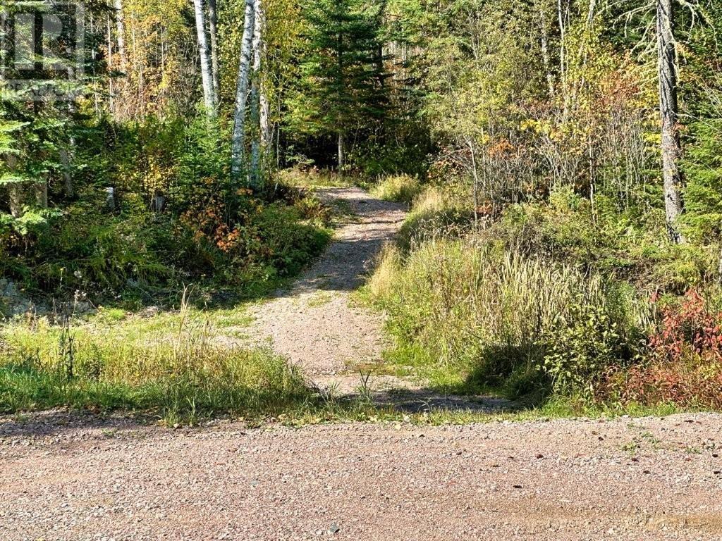 8 Red Rock Road 7, Red Rock, Ontario  P0T 2P0 - Photo 50 - TB253119