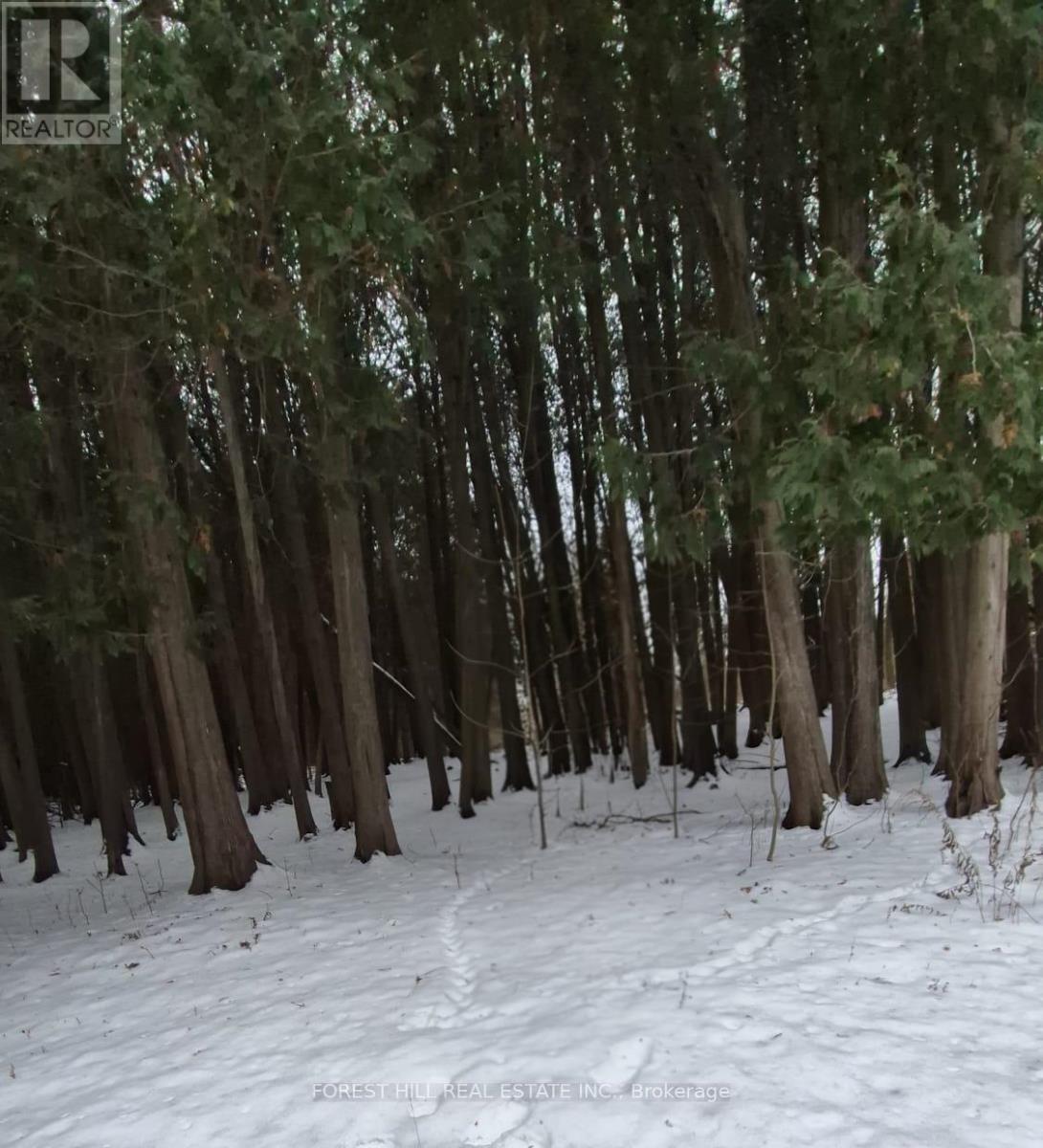 6263 Finnerty Road, Caledon, Ontario  L7K 1C9 - Photo 8 - W12690308