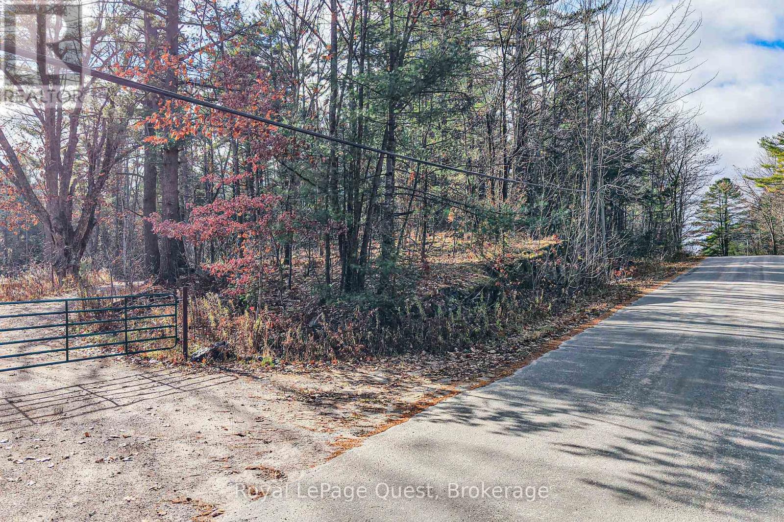 1267 Graham Road, Gravenhurst, Ontario  P0E 1N0 - Photo 6 - X12570880