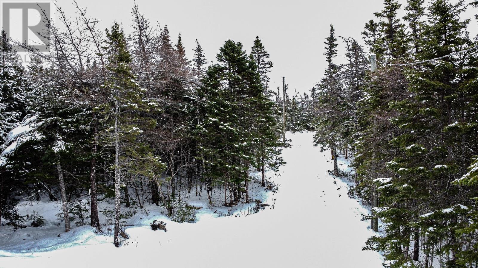 1 Stringer Street, Ocean Pond, Newfoundland & Labrador  A0B 3K0 - Photo 5 - 1293725