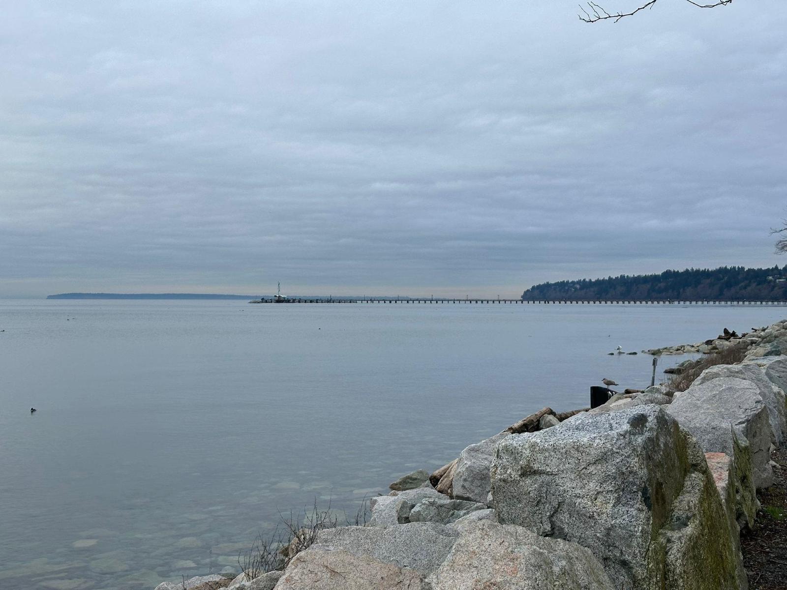 306 1526 George Street, White Rock, British Columbia  V4B 4A5 - Photo 14 - R3077036