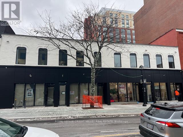 39 Queen Street E, Brampton (Downtown Brampton), Ontario  L6W 2A7 - Photo 10 - W12691768