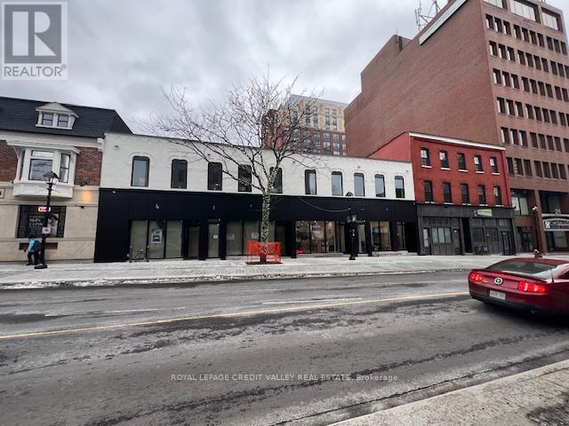 39 Queen Street E, Brampton (Downtown Brampton), Ontario  L6W 2A7 - Photo 8 - W12691768