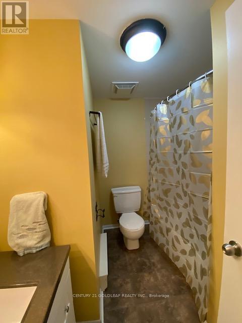 11 - 1342 Cedarcroft Crescent, Ottawa, Ontario  K1B 5C8 - Photo 30 - X12688220