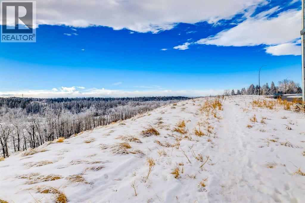 820 Cantrell Place Sw, Calgary, Alberta  T2W 2C3 - Photo 48 - A2278405