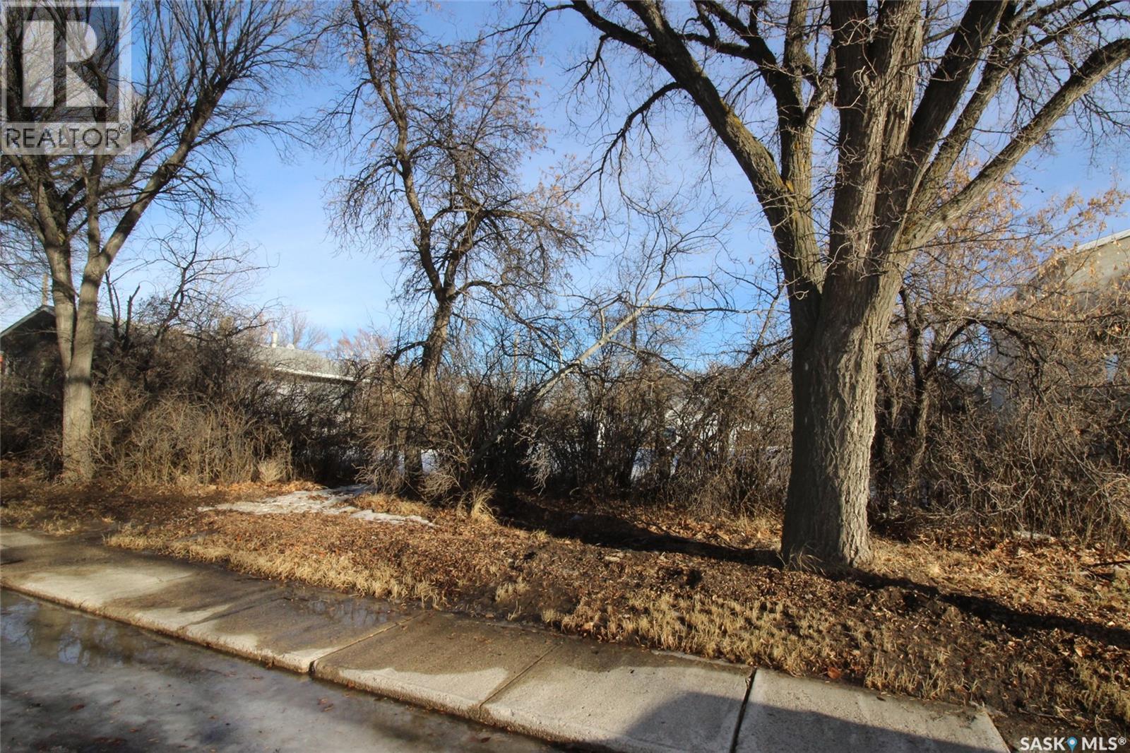 456 3rd Street W, Shaunavon, Saskatchewan  S0N 2M0 - Photo 3 - SK026711