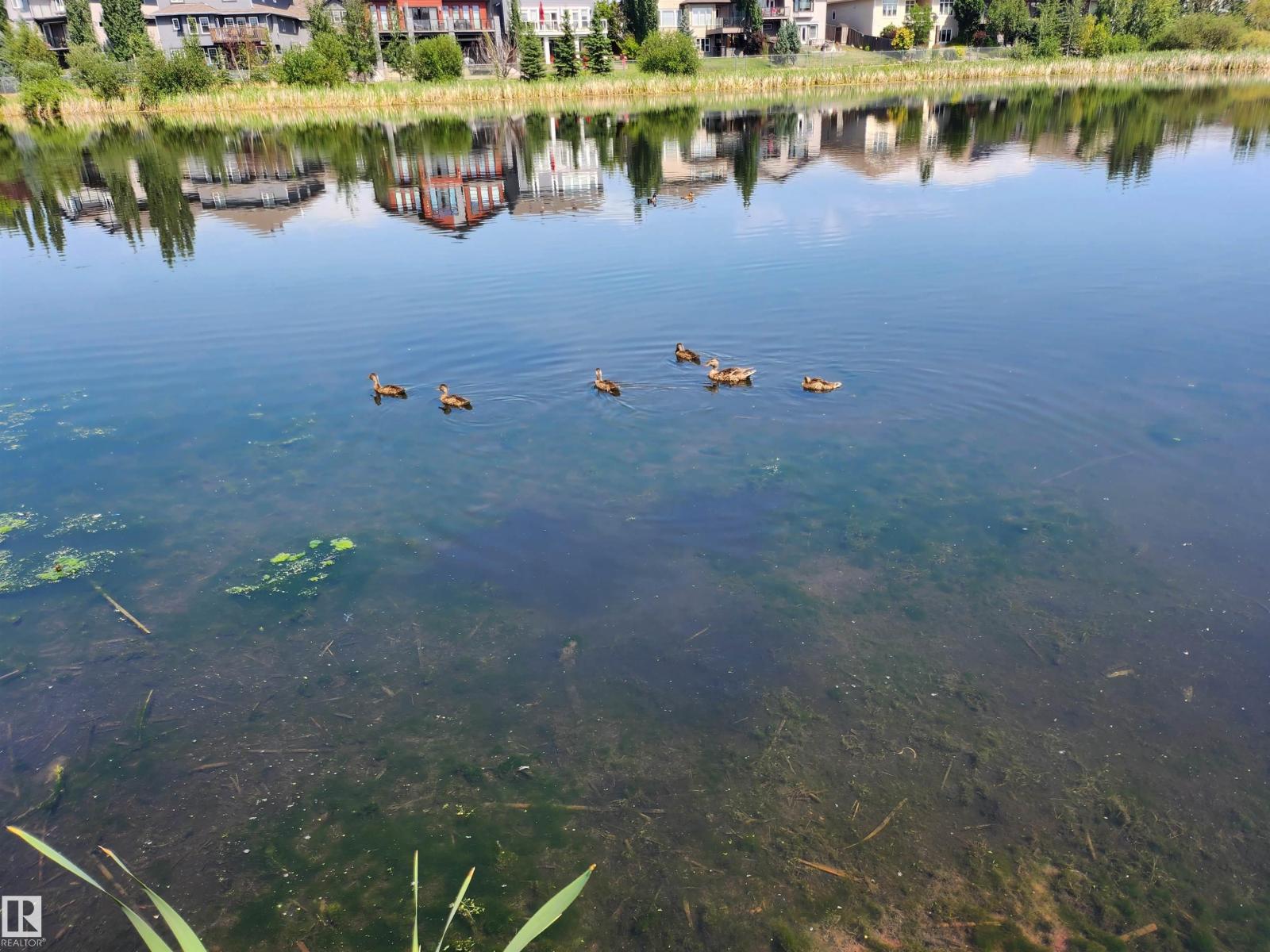 466 Churchill Cr, Sherwood Park, Alberta  T8H 0R9 - Photo 6 - E4469921