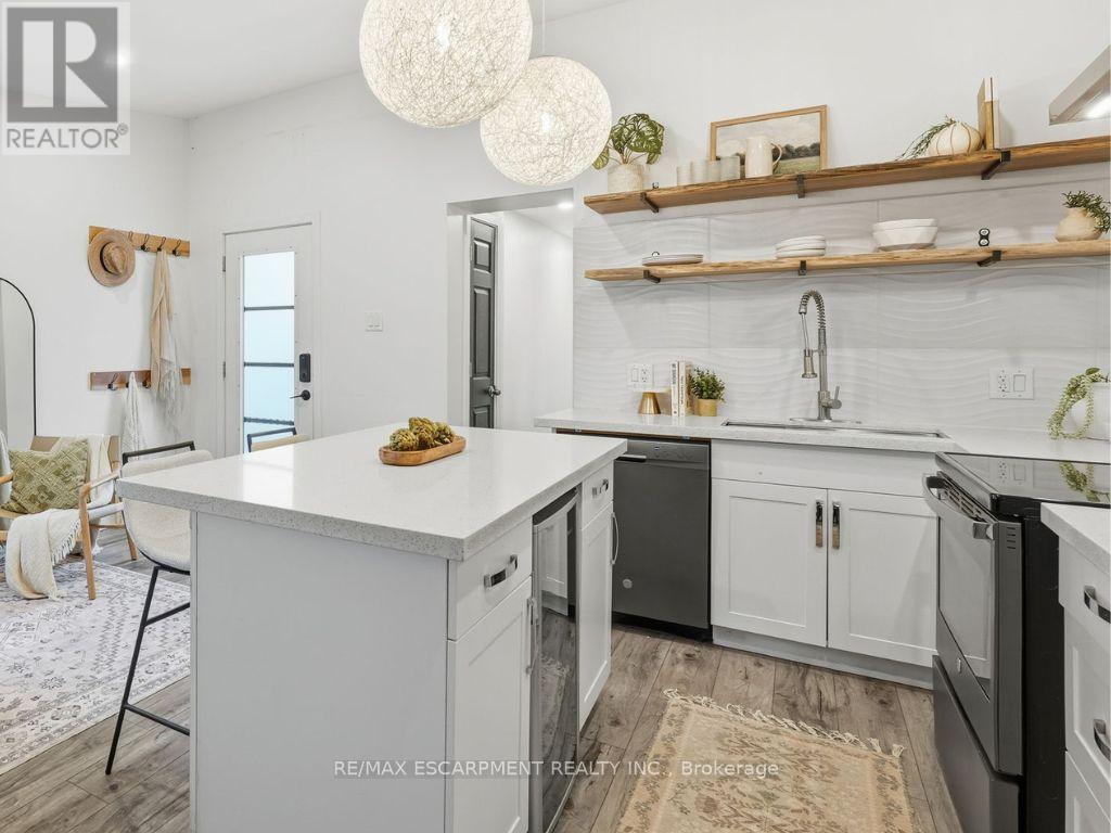 48 Frederick Avenue, Hamilton, Ontario  L8H 4K4 - Photo 20 - X12693176