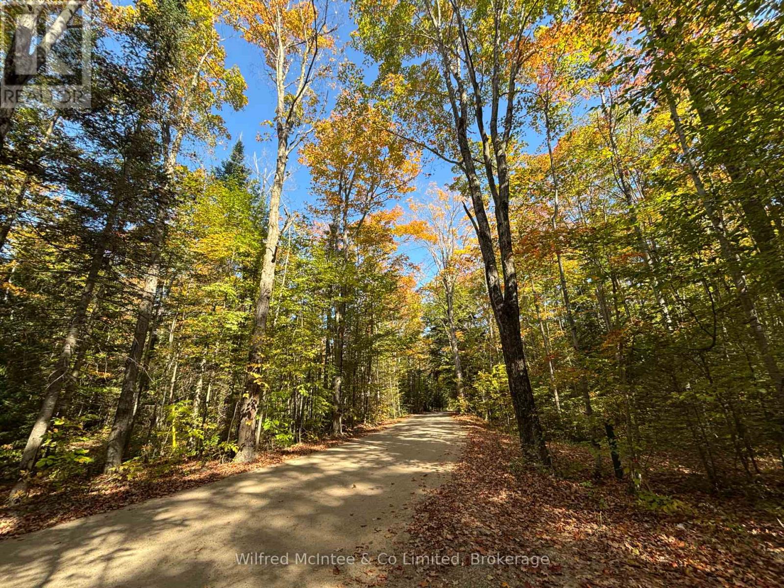 78 Indian Trail, South Bruce Peninsula, Ontario  N0H 2T0 - Photo 48 - X12693714