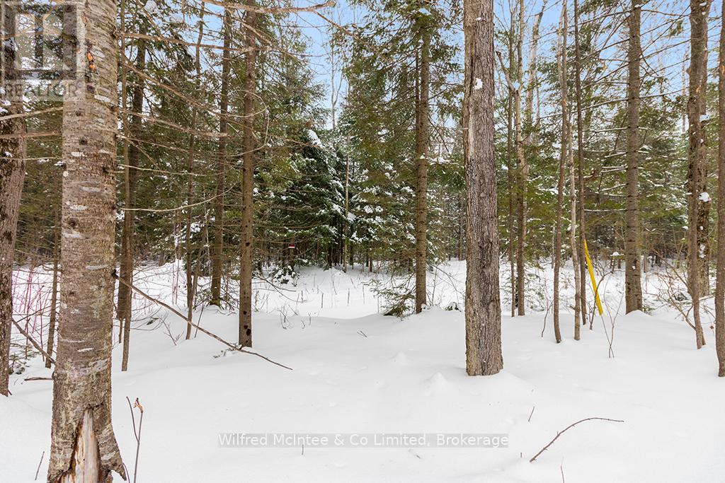 78 Indian Trail, South Bruce Peninsula, Ontario  N0H 2T0 - Photo 9 - X12693714