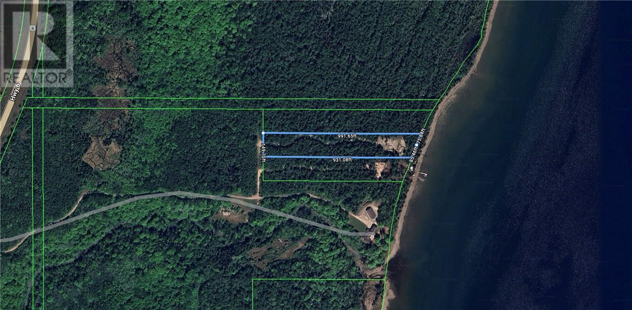 13768c Highway 6, Assiginack, Ontario  P0P 1N0 - Photo 8 - 2126086