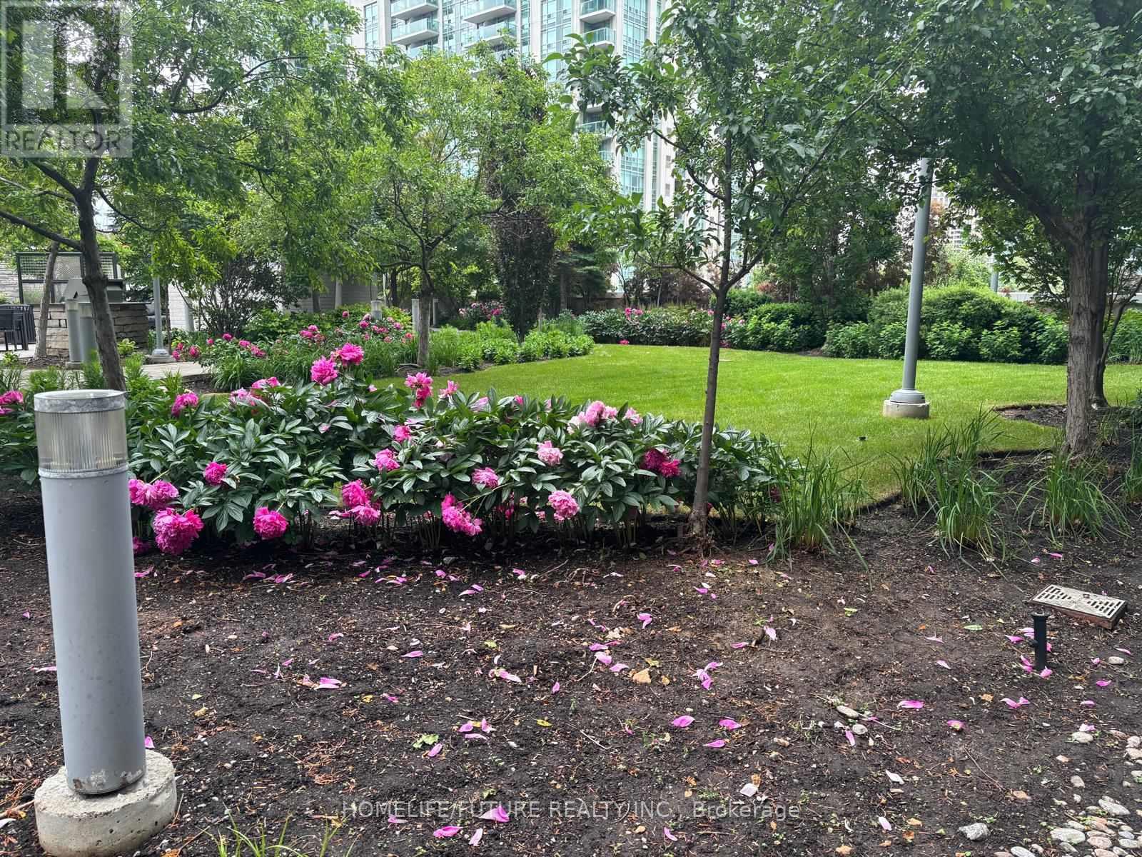 3201 - 2 Anndale Drive, Toronto, Ontario  M2N 0G5 - Photo 16 - C12693728