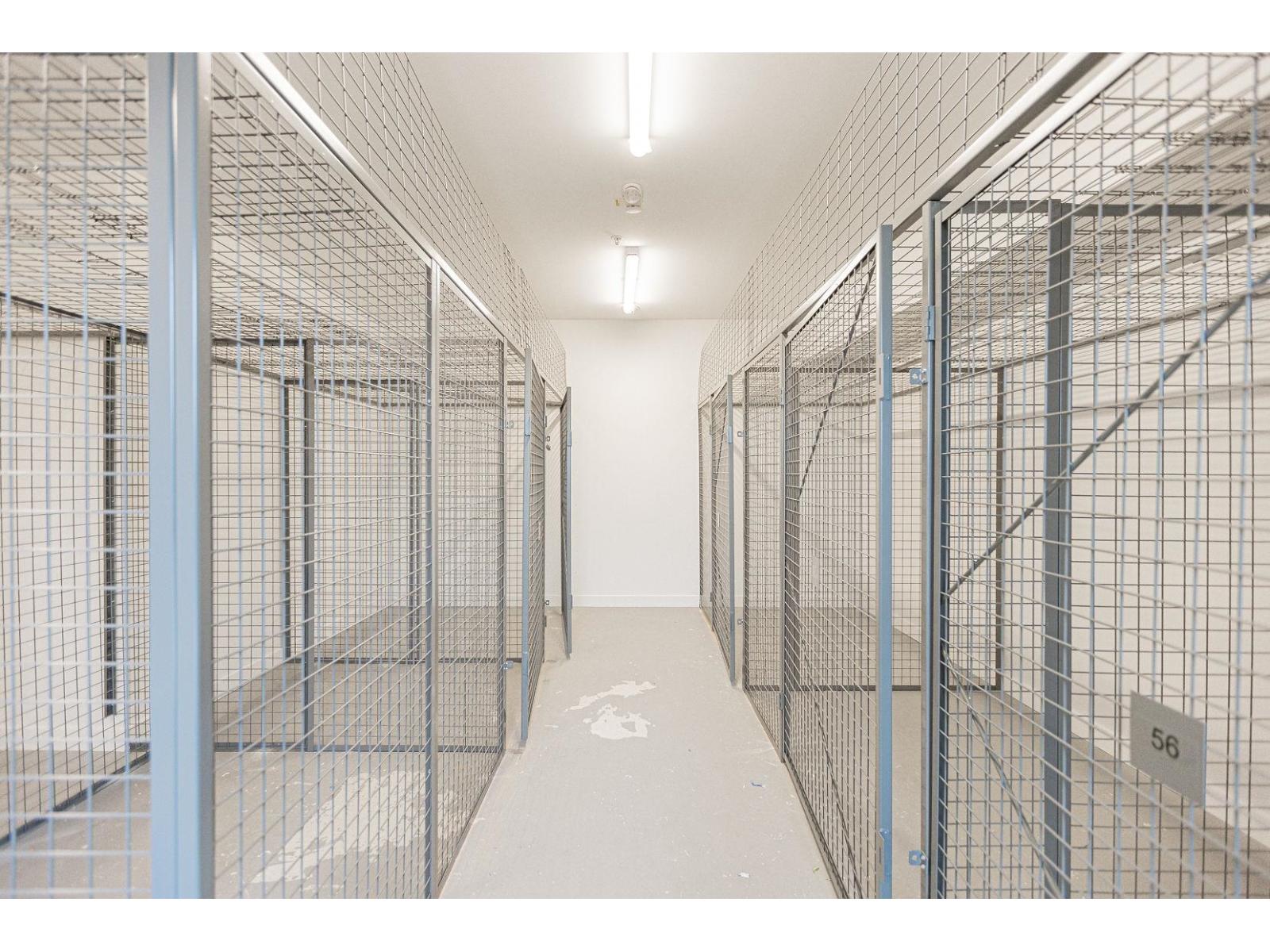 508 5398 207 Street, Langley, British Columbia  V3A 2G1 - Photo 28 - R3079164