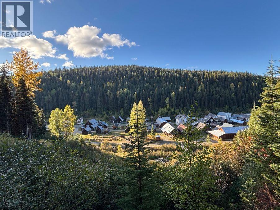 Main Street, Wells / Barkerville, British Columbia  V0K 1B0 - Photo 11 - C8074689