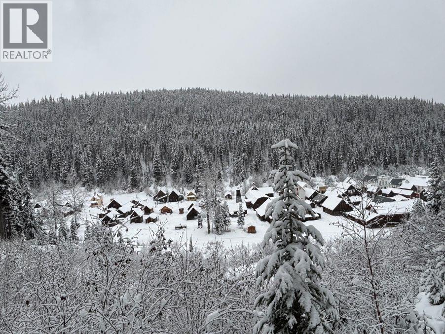 Main Street, Wells / Barkerville, British Columbia  V0K 1B0 - Photo 18 - C8074687