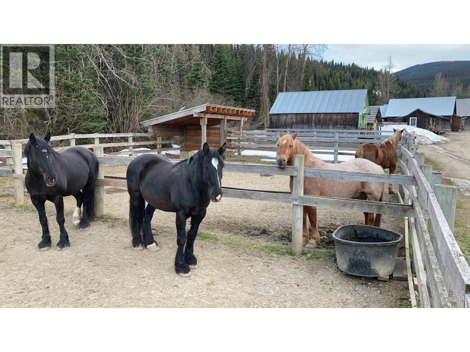 Main Street, Wells / Barkerville, British Columbia  V0K 1B0 - Photo 15 - C8074687