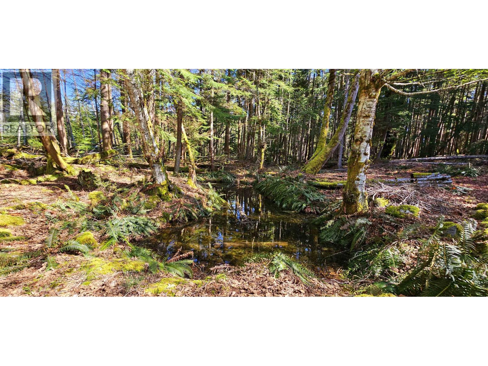 Lot 8 Mountain Road, Gambier Island, British Columbia  V0N 1V0 - Photo 5 - R3079290