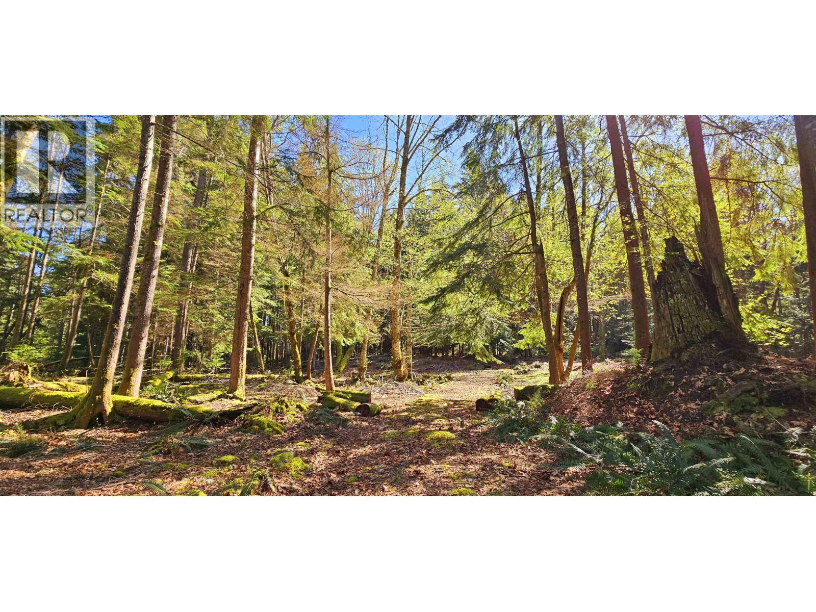Lot 8 Mountain Road, Gambier Island, British Columbia  V0N 1V0 - Photo 6 - R3079290