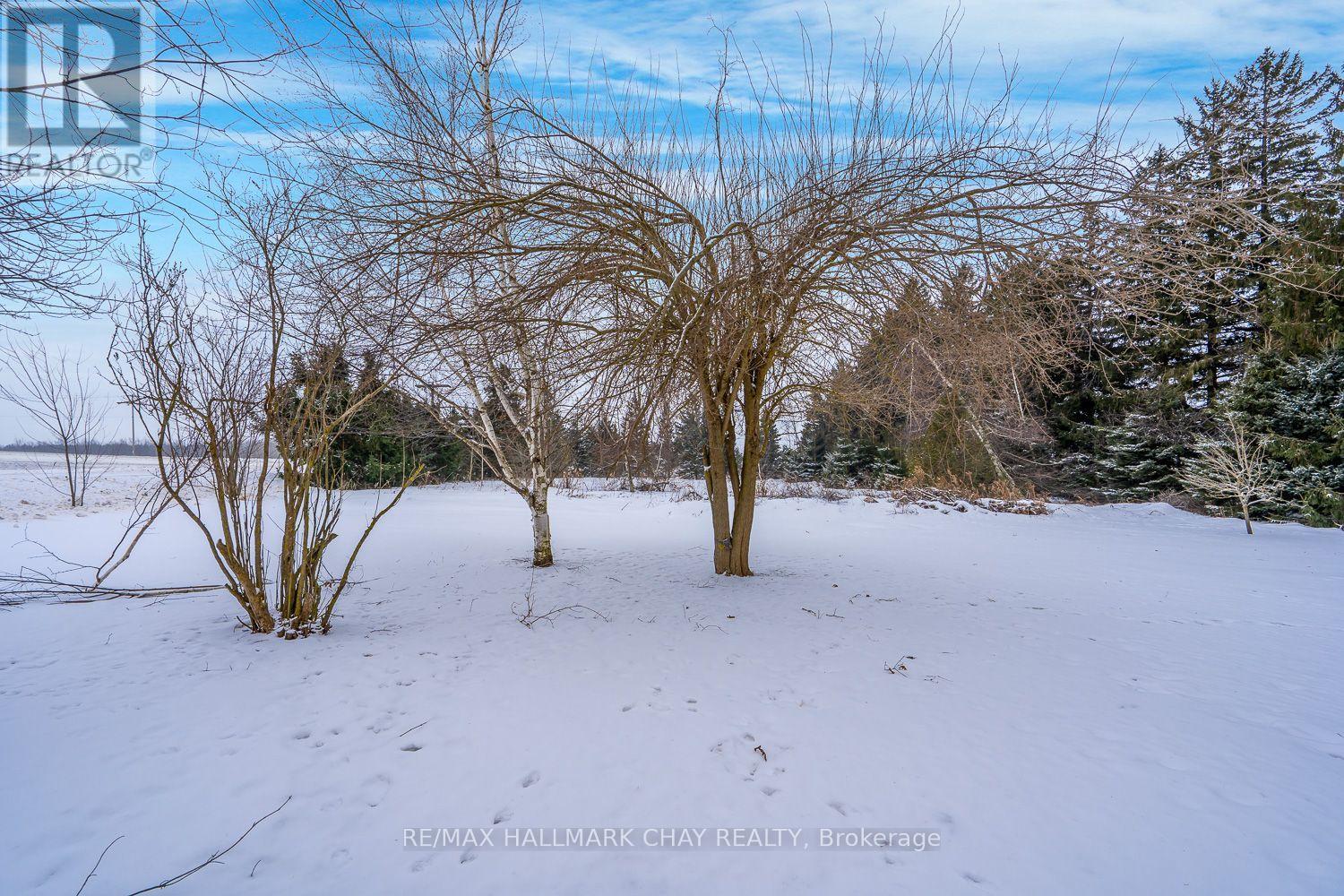 623011 280 Side Road, Melancthon, Ontario  L9V 2M2 - Photo 9 - X12694116