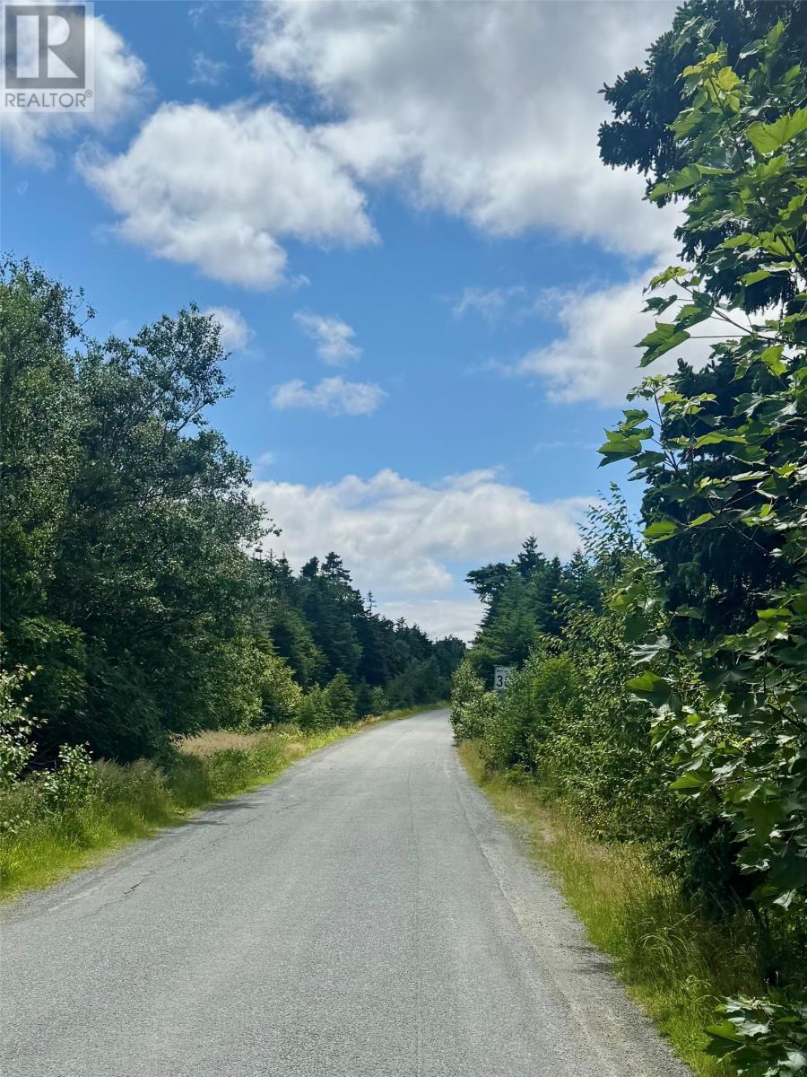 2-16 Old Pine Line, Middle Cove, Newfoundland & Labrador  A1K 5A1 - Photo 2 - 1287468