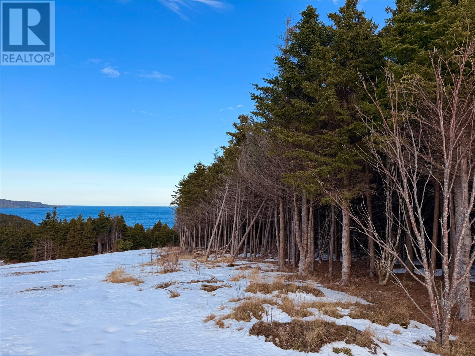 2-16 Old Pine Line, Middle Cove, Newfoundland & Labrador  A1K 5A1 - Photo 8 - 1287468