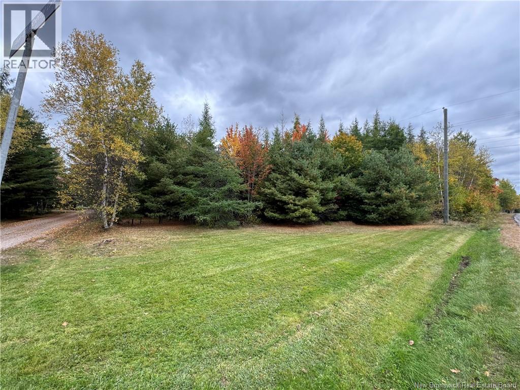 Blueberry Lane, Codys, New Brunswick  E4C 1E3 - Photo 3 - NB132130