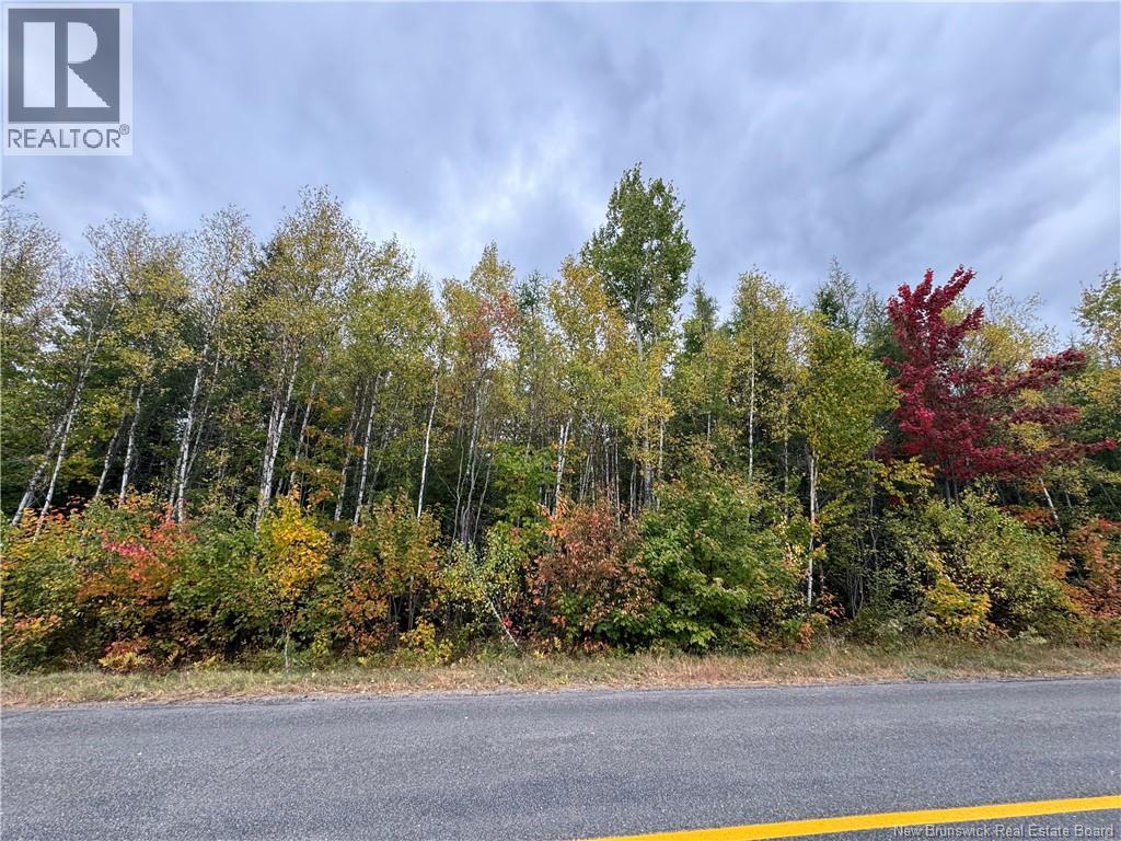 Blueberry Lane, Codys, New Brunswick  E4C 1E3 - Photo 5 - NB132130