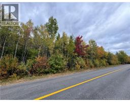 Blueberry Lane, codys, New Brunswick