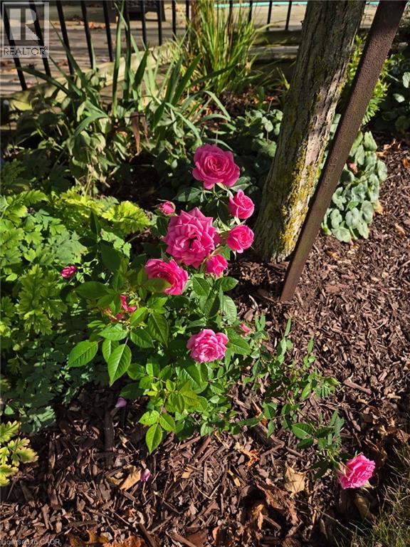 7 Bee Street, St. Williams, Ontario  N0E 1P0 - Photo 36 - 40798394