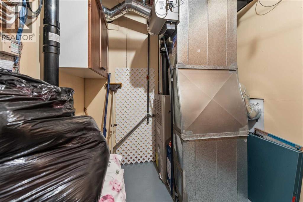 1073 Wilson Way, Canmore, Alberta  T1W 3C5 - Photo 43 - A2265573