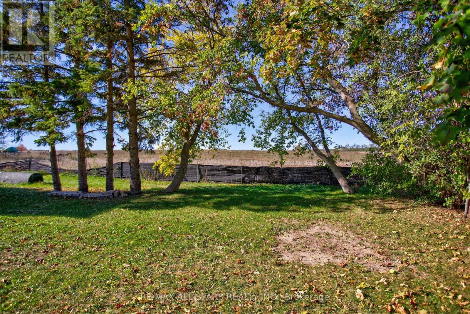 291 Angeline Street N, Kawartha Lakes, Ontario  K9V 0H2 - Photo 43 - X12694176