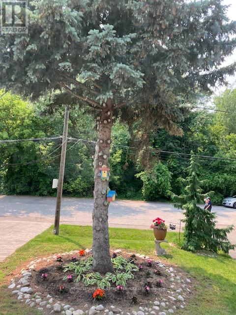 15 Cosmo Road, Toronto, Ontario  M8X 1Z3 - Photo 3 - W12565390