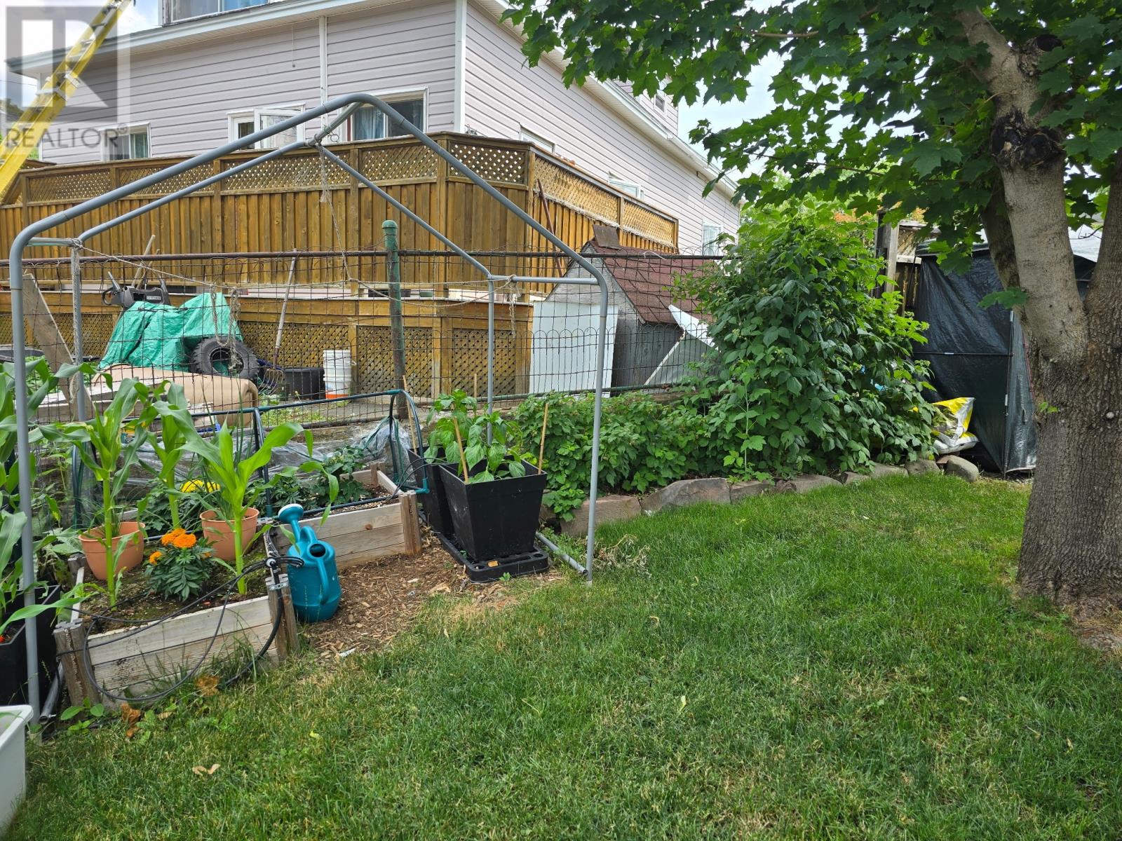 46 Beaumont Avenue, Grand Falls-Windsor, Newfoundland & Labrador  A2A 2A1 - Photo 10 - 1293727