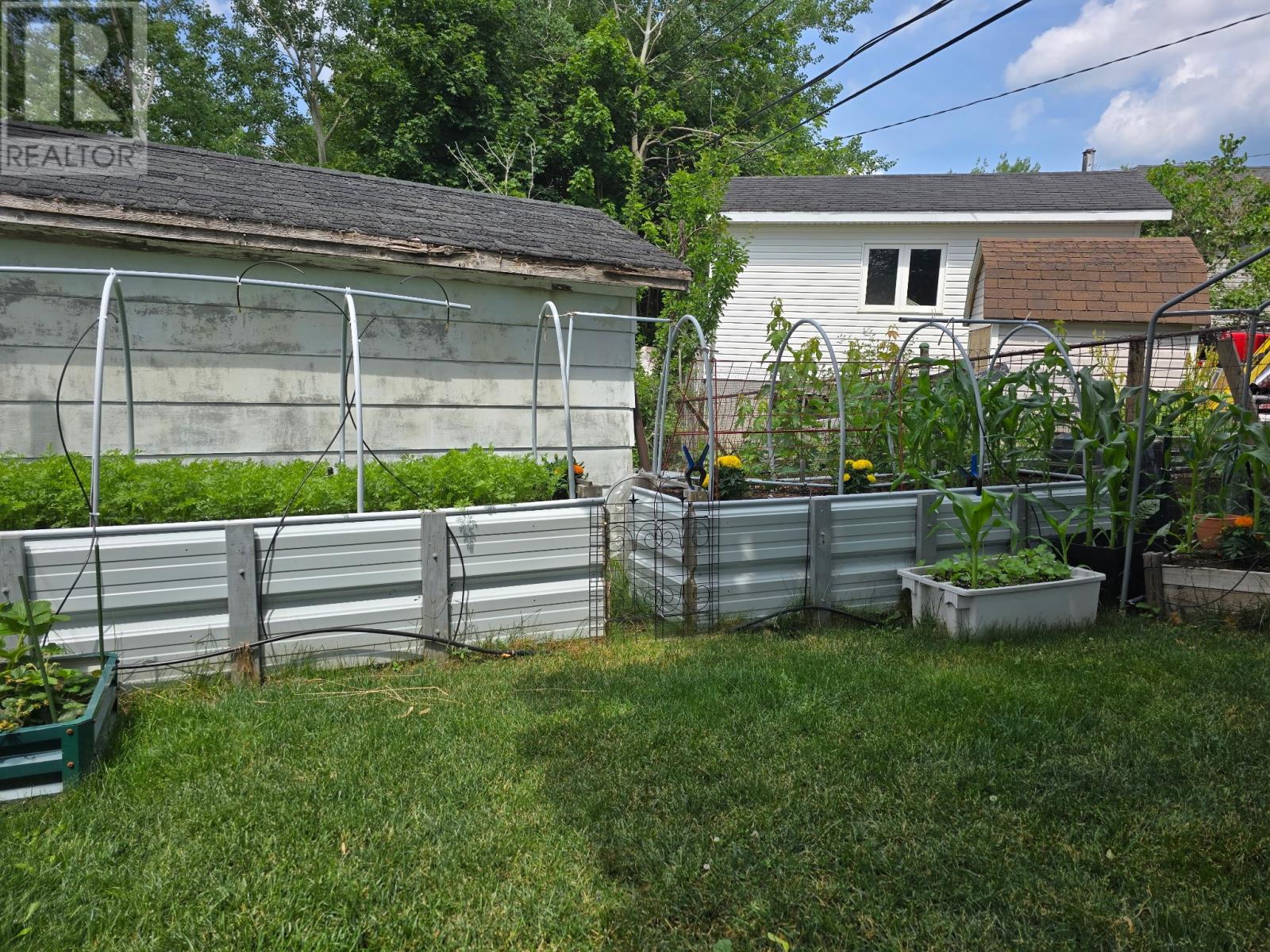 46 Beaumont Avenue, Grand Falls-Windsor, Newfoundland & Labrador  A2A 2A1 - Photo 5 - 1293727