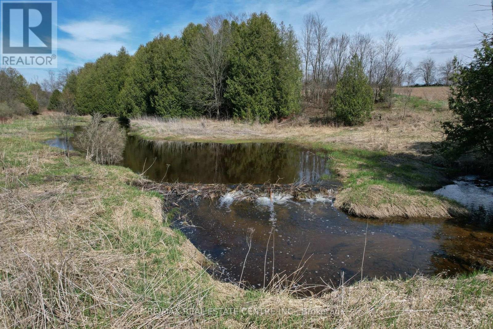 293138 8th Line, Amaranth, Ontario  L9W 0T6 - Photo 26 - X12694162