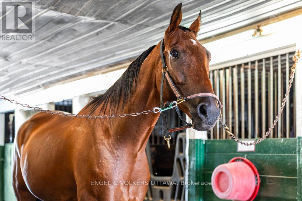 12420 Ormond Road, North Dundas, Ontario  K0C 2K0 - Photo 35 - X12425541