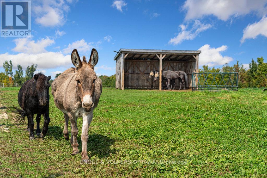 12420 Ormond Road, North Dundas, Ontario  K0C 2K0 - Photo 40 - X12425541