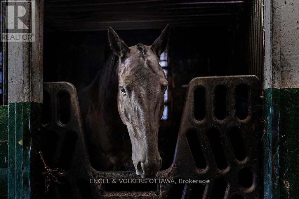 12420 Ormond Road, North Dundas, Ontario  K0C 2K0 - Photo 35 - X12425578