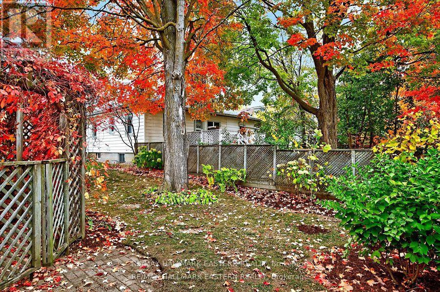 14 Alexander Avenue, Peterborough, Ontario  K9J 6B4 - Photo 44 - X12694438