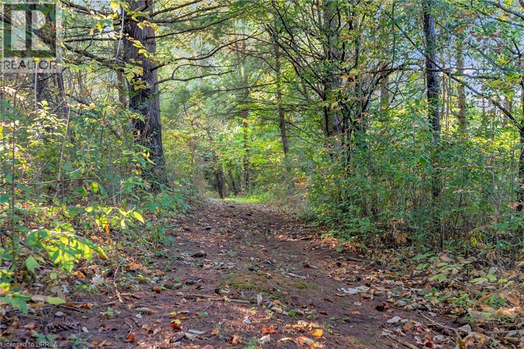 481 Lynden Road, Brantford, Ontario  N3T 5M1 - Photo 42 - 40746514