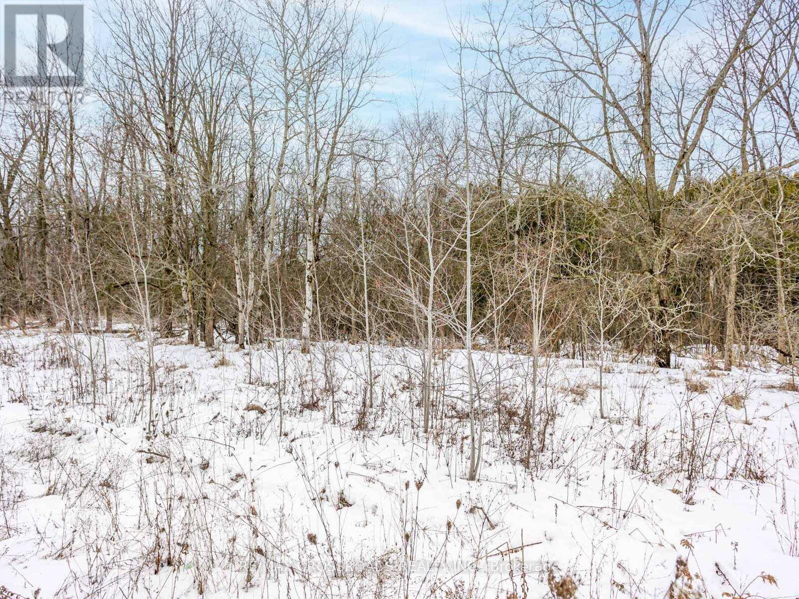 171 Busato Drive, Whitchurch-Stouffville, Ontario  L4A 4X4 - Photo 45 - N12694598